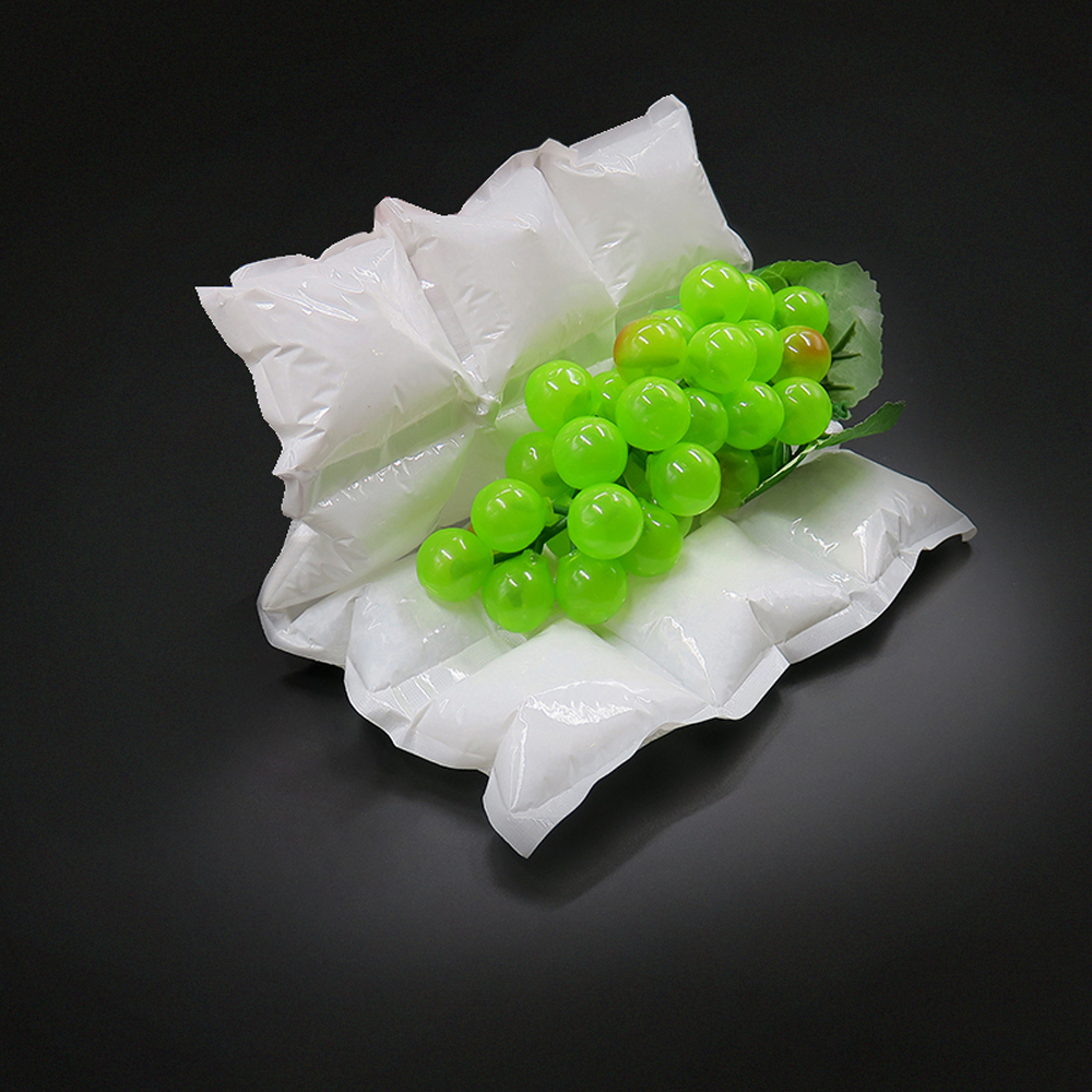 Eisbeutel-Gel-Eispads für frische Lebensmittel, gefrorene Transportfrüchte, Meeresfrüchte, gekochte Lebensmittel