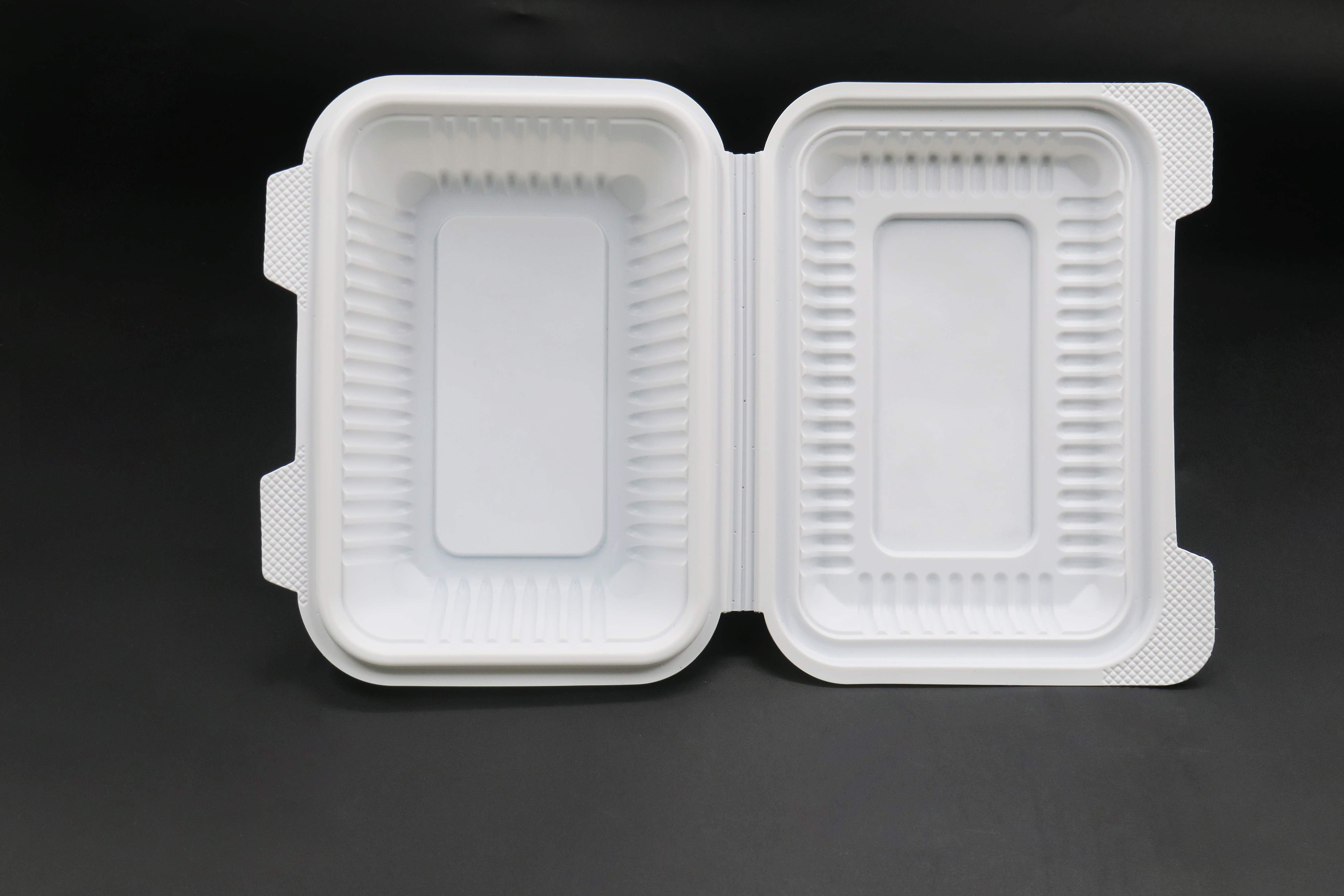ECO-Clamshell-Zuckerrohr-Teller-Verpackungs-Lunchboxen