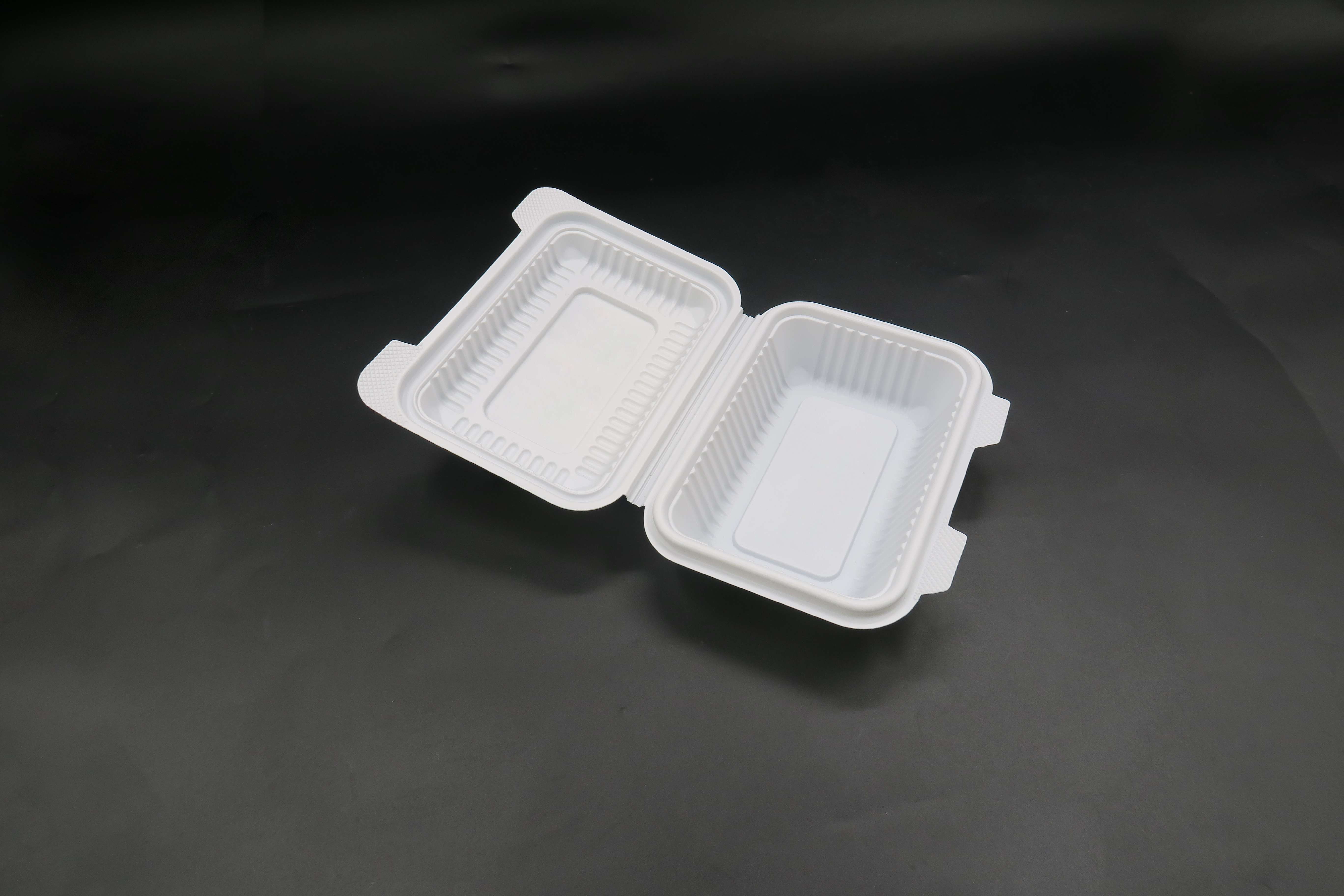 ECO-Clamshell-Zuckerrohr-Teller-Verpackungs-Lunchboxen