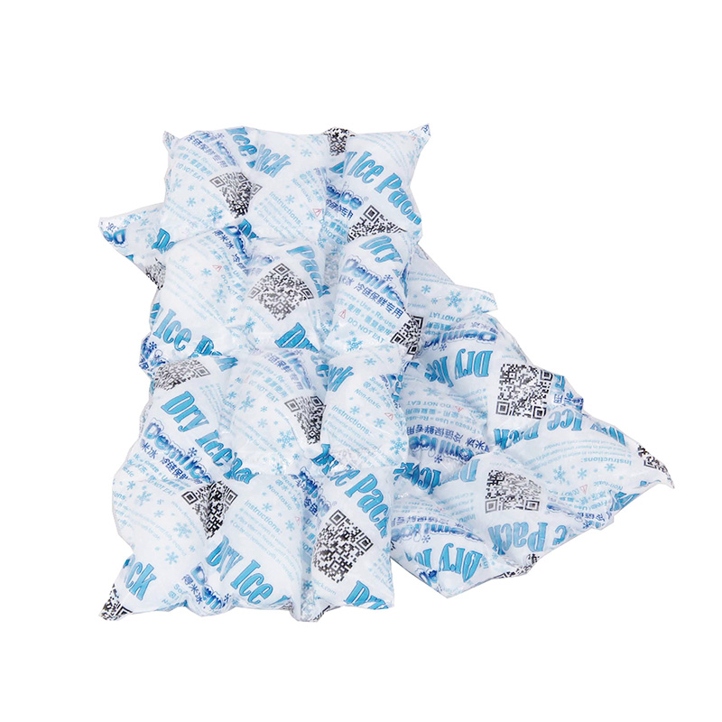 Neue Ankunft Sap Cooler Bag Hersteller Ice Gel Pack für Lunch Bag