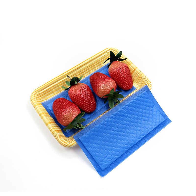 Einweichgerät für Lebensmittel, Fleischpads, Verpackung, Fleischpads, absorbiert überschüssige Feuchtigkeit